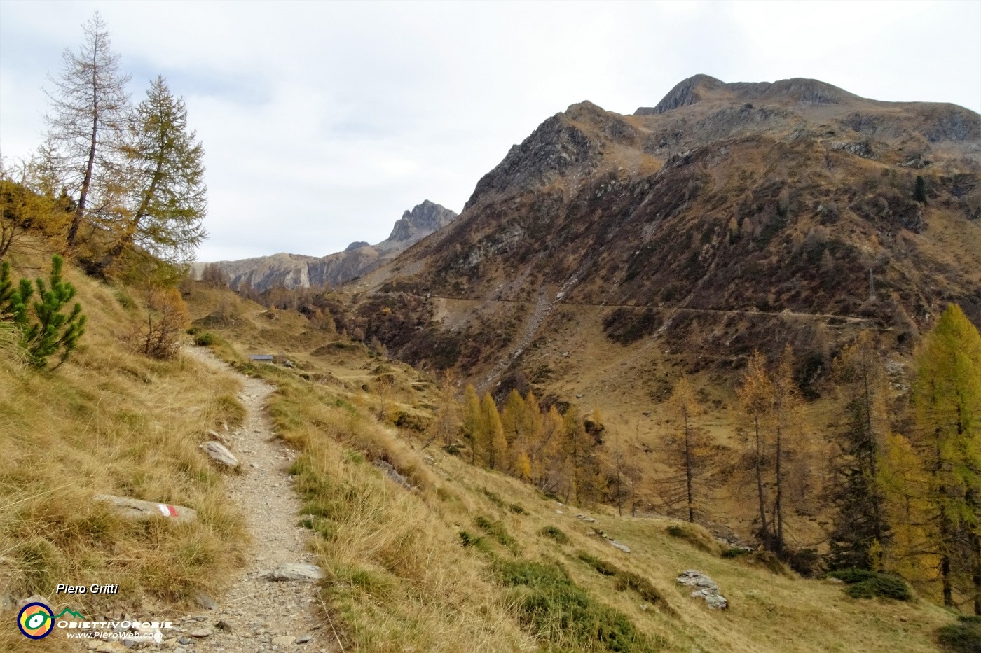 48 Salendo tra larici in look autunnale la Valle del Gorno .JPG